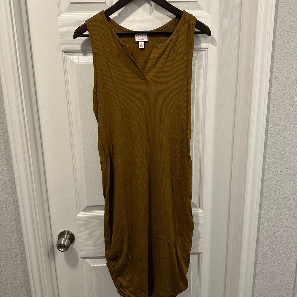 Isabel Maternity by Ingrid & Isabel Brown Dress